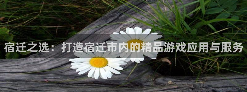 恩佐娱乐注册：宿迁之选：打造宿迁市内的精品游戏应用与服务