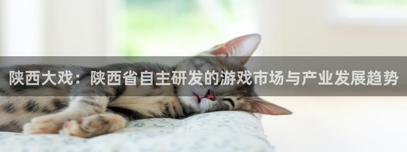 恩佐娱乐登陆：陕西大戏：陕西省自主研发的游戏市场与产业发展趋
