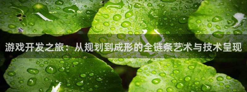 恩佐娱乐手机版最新功能介绍视频：游戏开发之旅：从规划到成形的