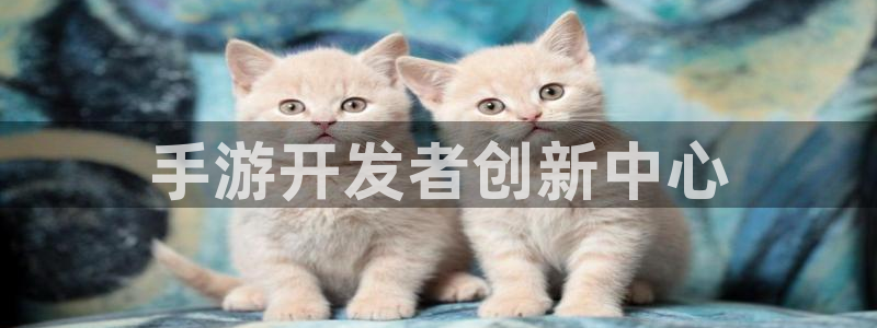 恩佐娱乐官方注册：手游开发者创新中心