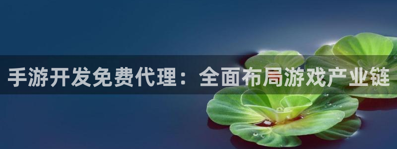 恩佐娱乐手机登录：手游开发免费代理：全面布局游戏产业链