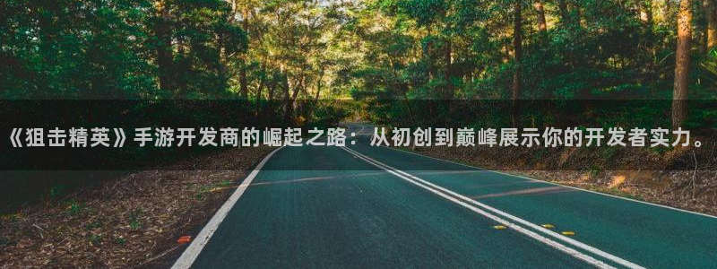 恩佐娱乐手机版最新功能介绍视频：《狙击精英》手游开发商的崛起