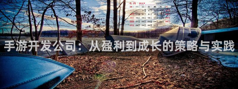 恩佐娱乐平台正规吗知乎：手游开发公司：从盈利到成长的策略与实