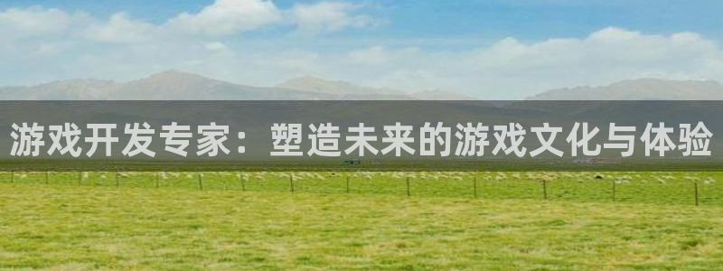 恩佐娱乐平台正规吗可靠吗：游戏开发专家：塑造未来的游戏文化与