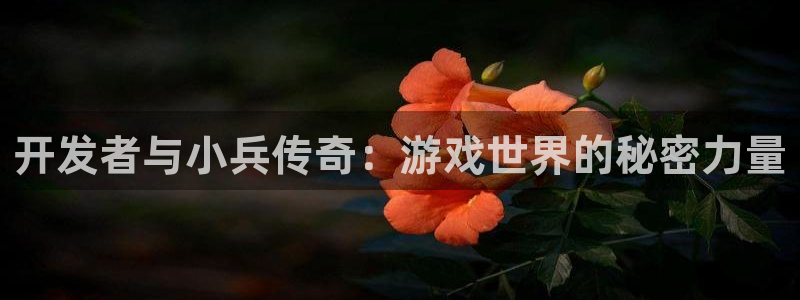 恩佐娱乐手机版最新功能介绍视频：开发者与小兵传奇：游戏世界的