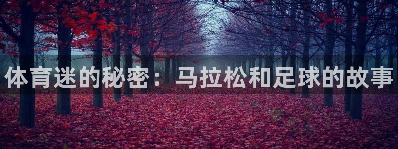 oety欧亿