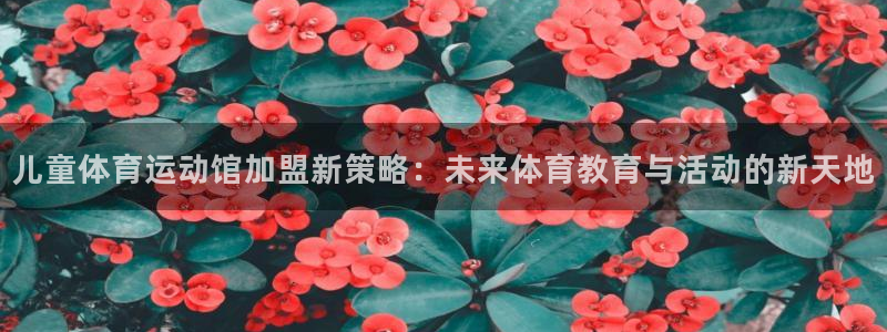 oety欧亿：儿童体育运动馆加盟新策略：未来体育教育与活动的新天地