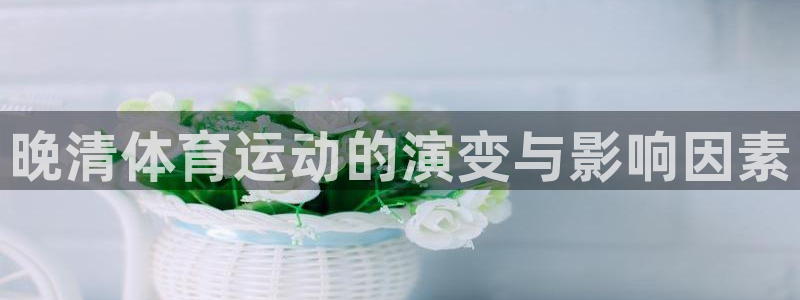 oety欧亿