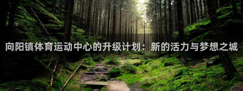 oety欧亿：向阳镇体育运动中心的升级计划：新的活力与梦想之城