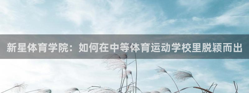 oety欧亿