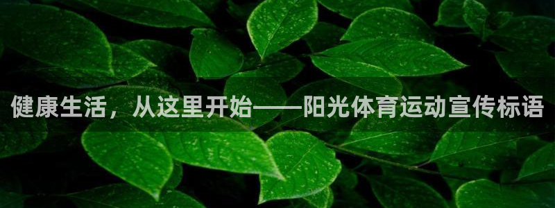 oety欧亿：健康生活，从这里开始——阳光体育运动宣传标语