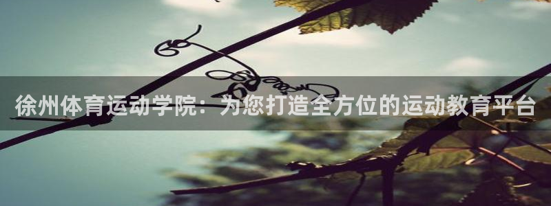 oety欧亿：徐州体育运动学院：为您打造全方位的运动教育平台