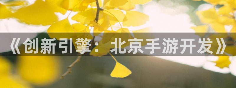 恩佐娱乐1：《创新引擎：北京手游开发》