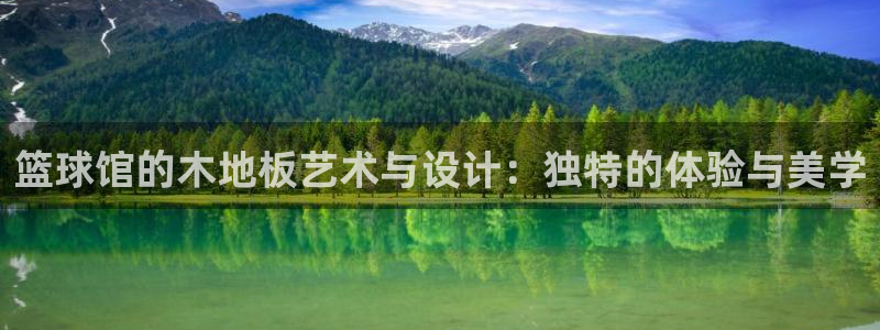 oety欧亿：篮球馆的木地板艺术与设计：独特的体验与美学